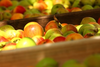 POMMES VARIETES ANCIENNES JUS DE FRUITS DOMAINE LAFFITTE